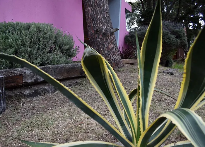 Cabaña Descansos del Este